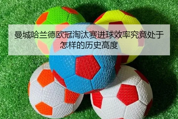 img_1780946818420_798_1_451.jpg