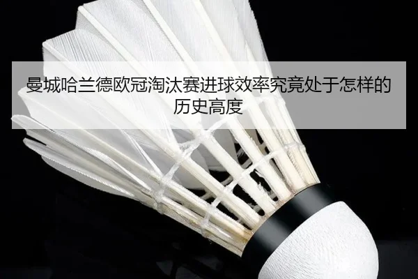 曼城哈兰德欧冠淘汰赛进球效率究竟处于怎样的历史高度