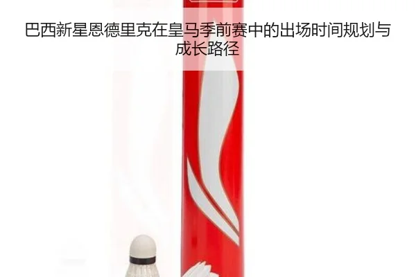 巴西新星恩德里克在皇马季前赛中的出场时间规划与成长路径
